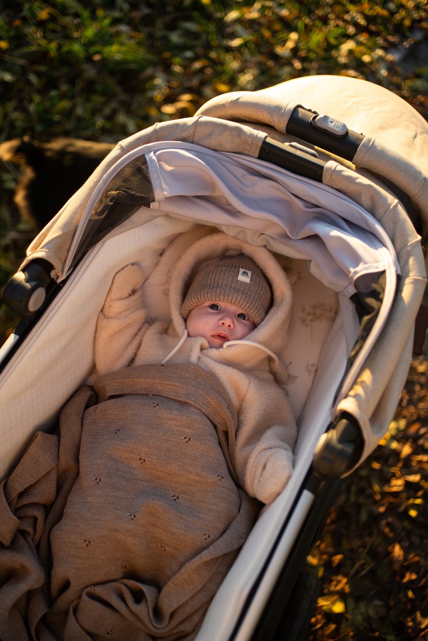 Softes Newborn Beanie - Camel