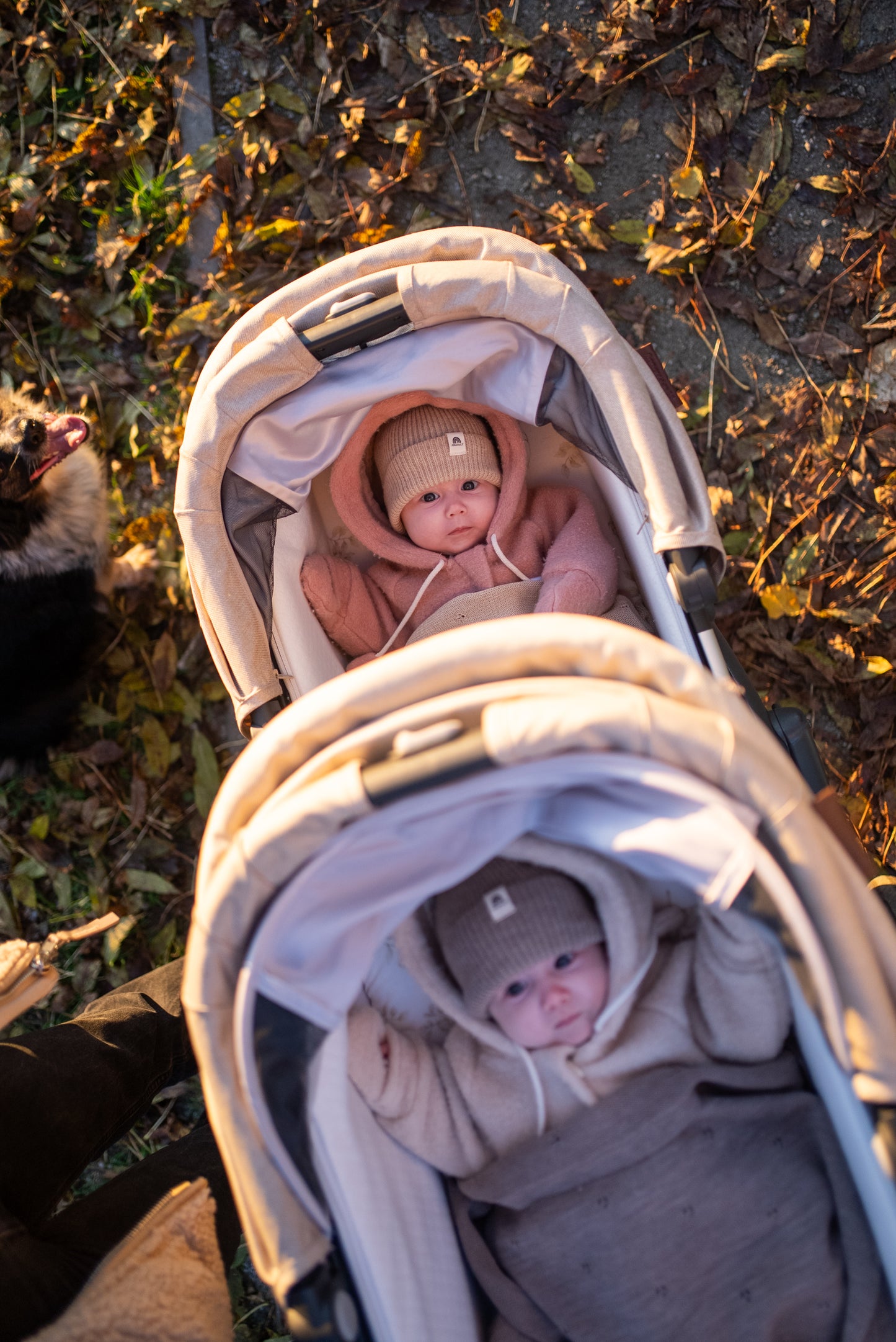Supersoftes Newborn-Beanie - Golden Sand